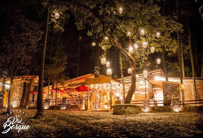 Отель Cabañas La Vid Del Bosque
