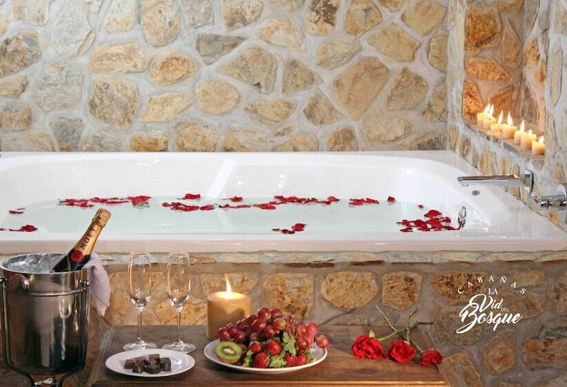 Отель Cabañas La Vid Del Bosque