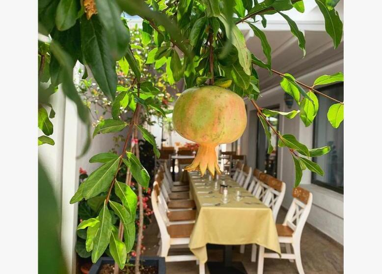 هتل Casa Comana Boutique