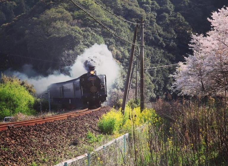 ホテル Hitoyoshi Onsen Ohgano Yado