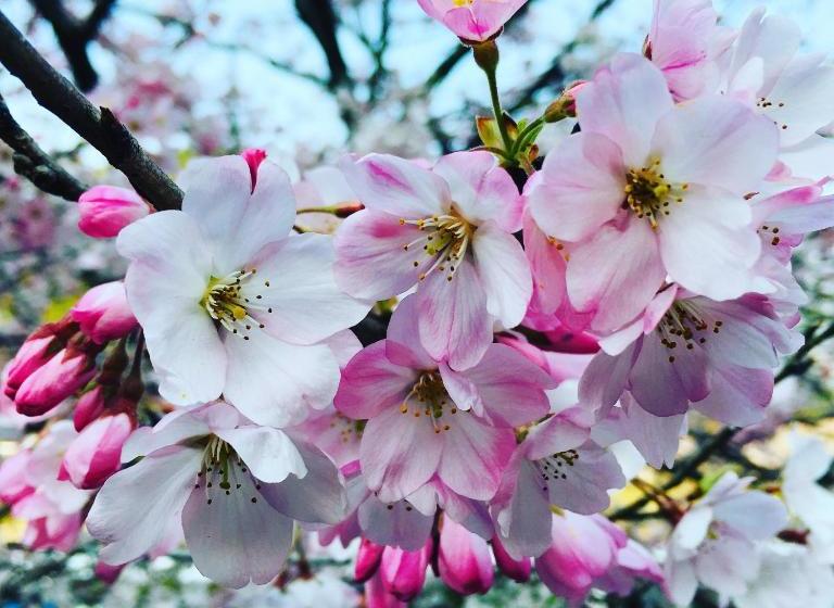 ホテル Hitoyoshi Onsen Ohgano Yado