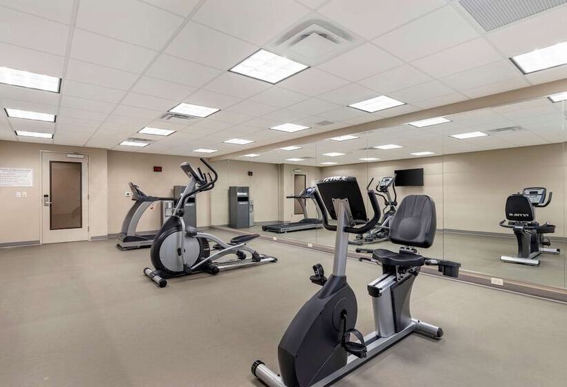 فندق Mainstay Suites Lancaster Dallas South