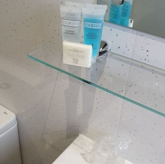 Отель Premier Lodge