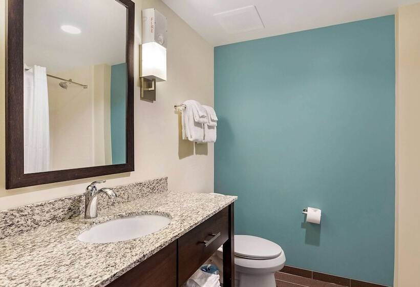 호텔 Sleep Inn Lancaster Dallas South