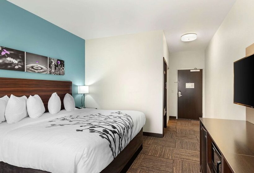 בית מלון כפרי Sleep Inn Lancaster Dallas South