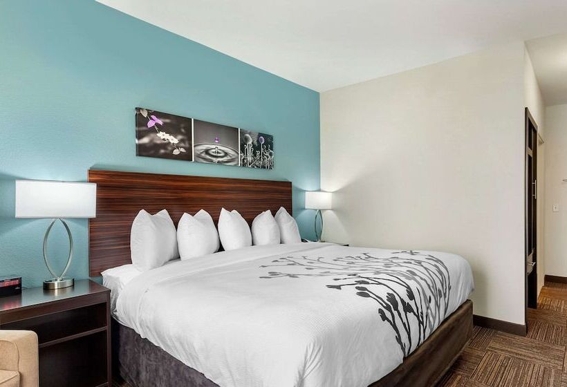 호텔 Sleep Inn Lancaster Dallas South