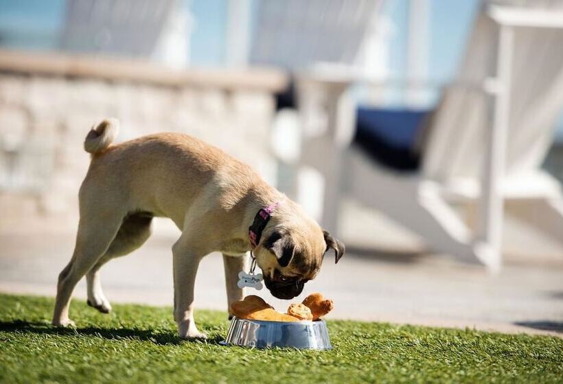 فندق Vespera Resort On Pismo Beach, Autograph Collection