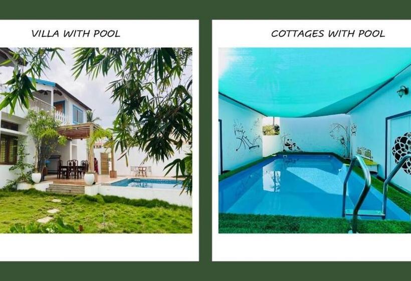 פנסיון Bleu & Blanc