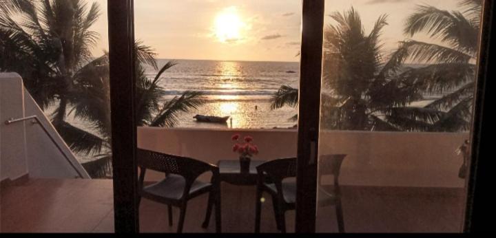 膳宿费 Coral Reef Guest