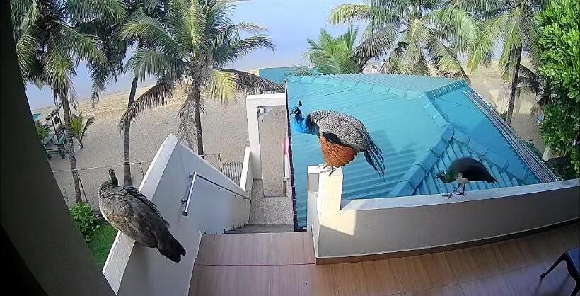 膳宿费 Coral Reef Guest