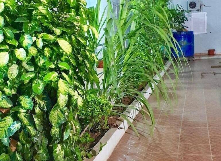 پانسیون Guest House Terezinha