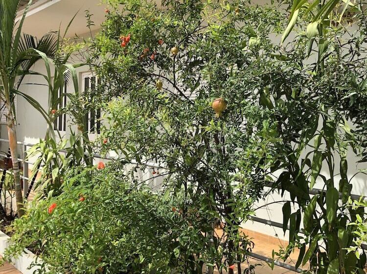 پانسیون Guest House Terezinha