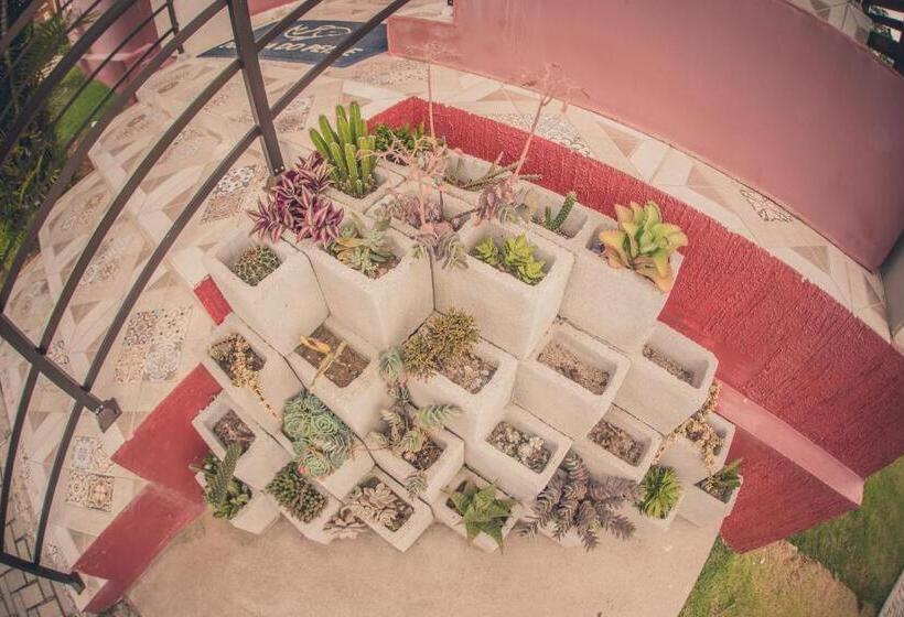 ペンション Pousada Dormida Do Peixe