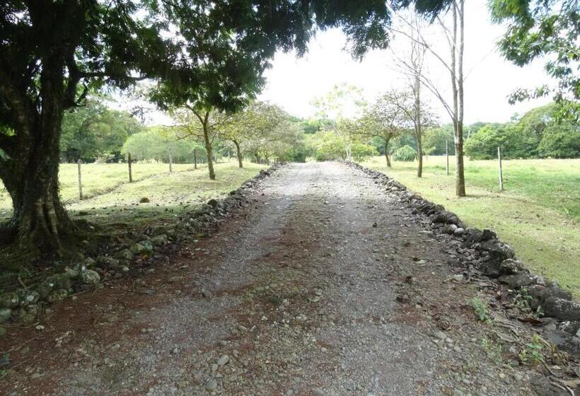 مبيت وإفطار Horquetas River Lodge