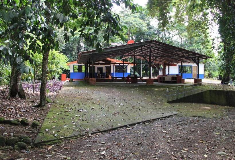 مبيت وإفطار Horquetas River Lodge