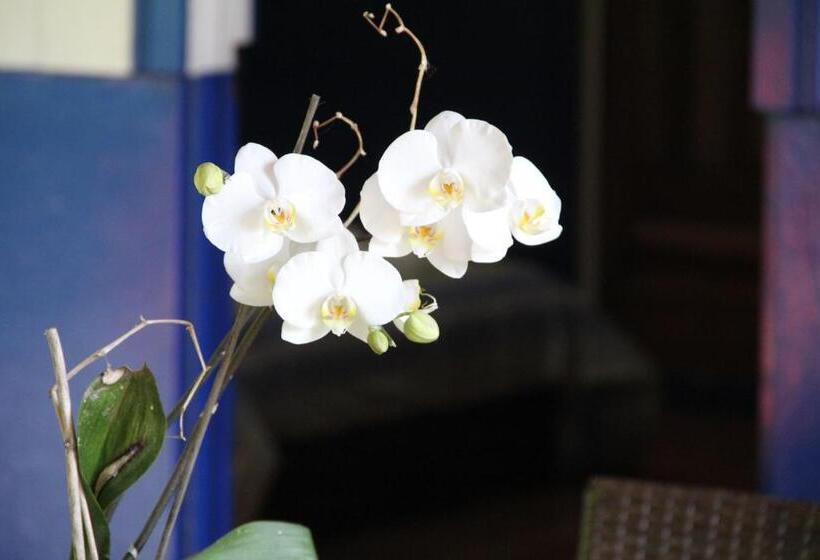 مبيت وإفطار Horquetas River Lodge