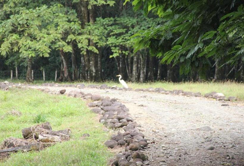 مبيت وإفطار Horquetas River Lodge