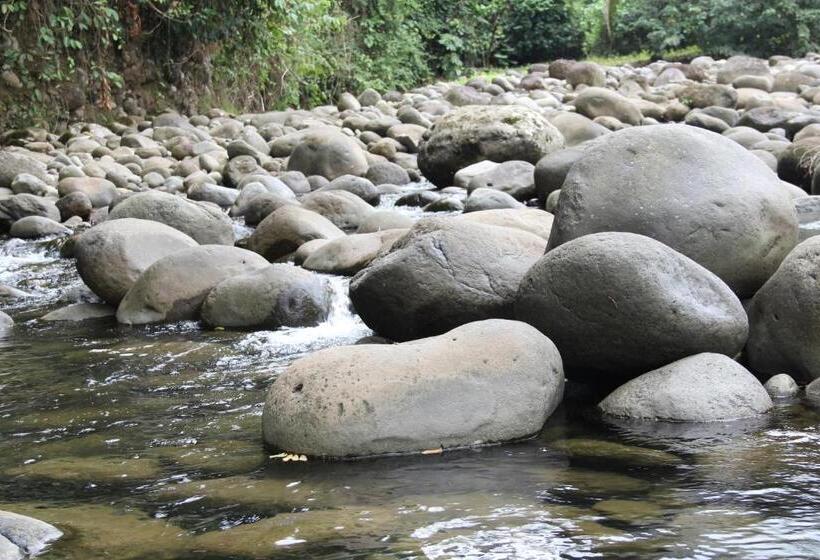 مبيت وإفطار Horquetas River Lodge