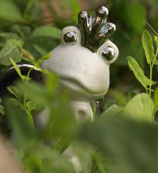 צימר La Maison Des Copains