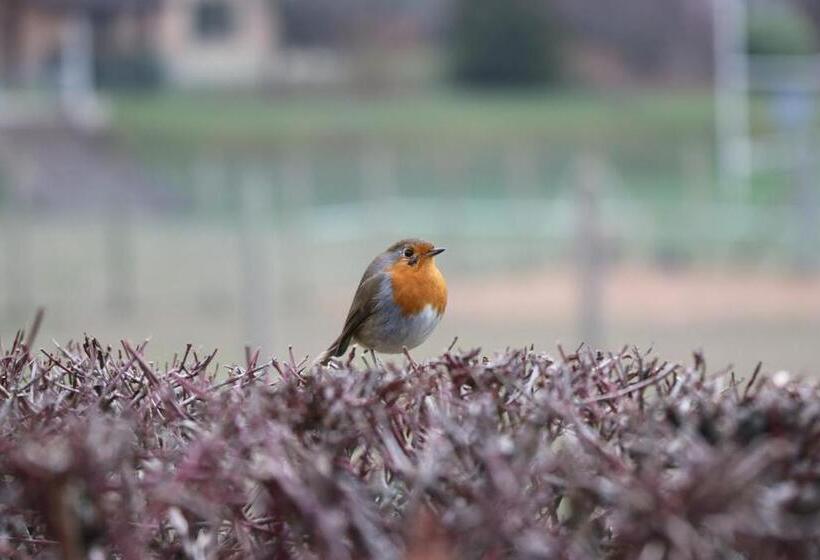צימר La Maison Des Copains