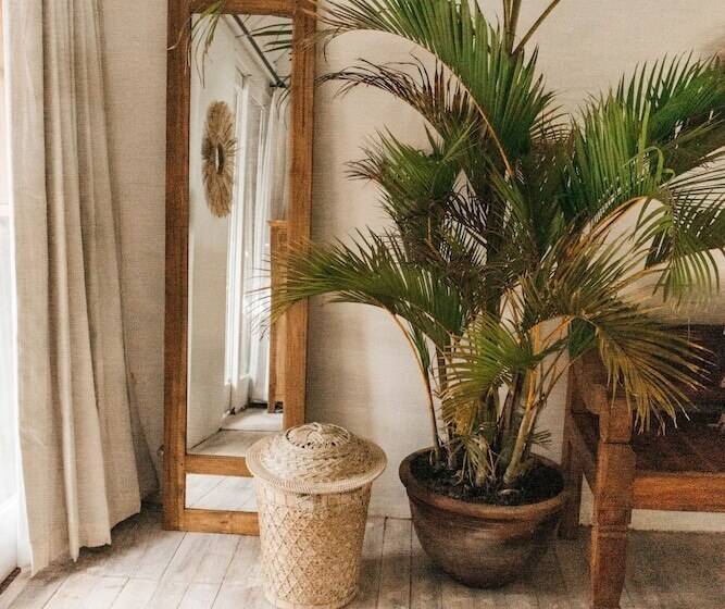 فندق Dreamsea Canggu   Hostel