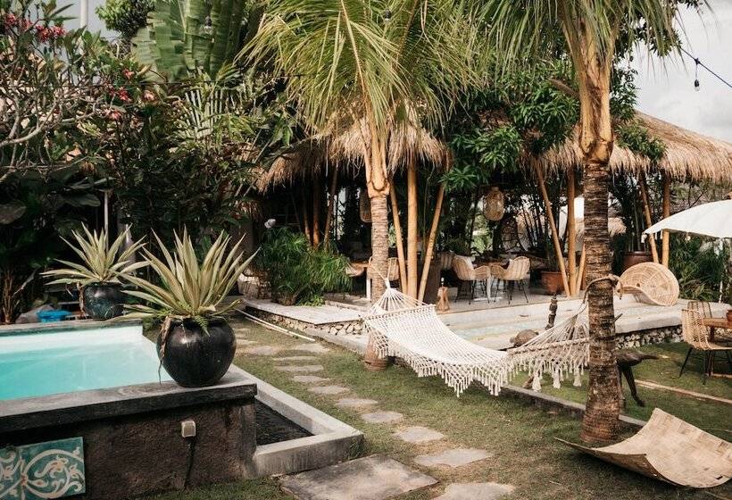 فندق Dreamsea Canggu   Hostel