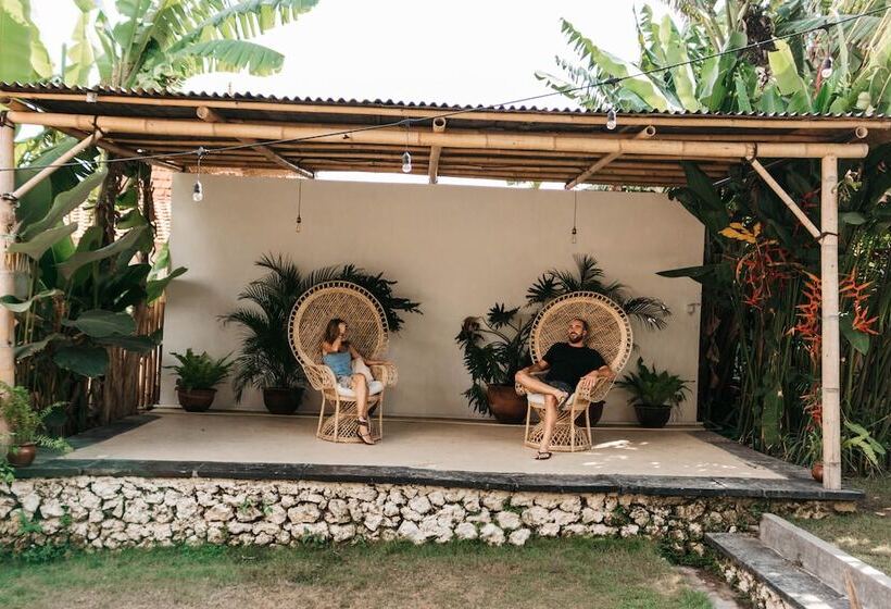 فندق Dreamsea Canggu   Hostel