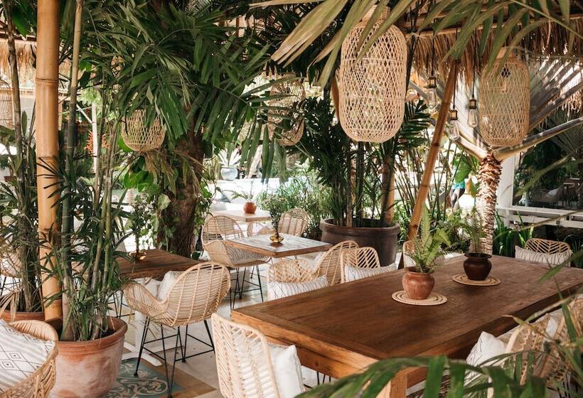 فندق Dreamsea Canggu   Hostel