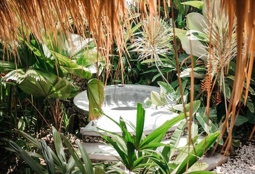 فندق Dreamsea Canggu   Hostel