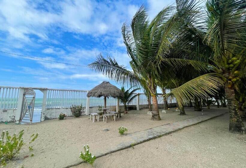 Отель Hostal La Tolita