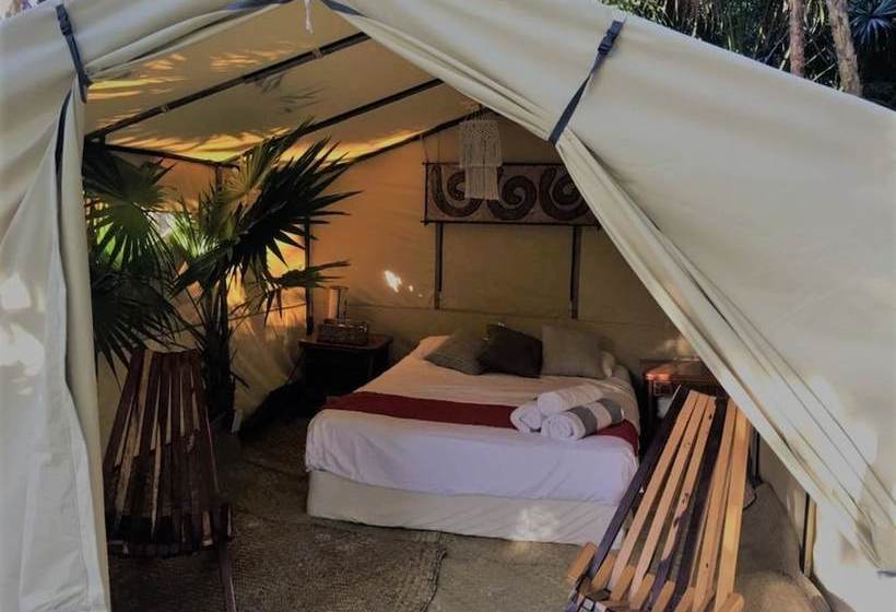 酒店 Uma Tulum Oceanfront