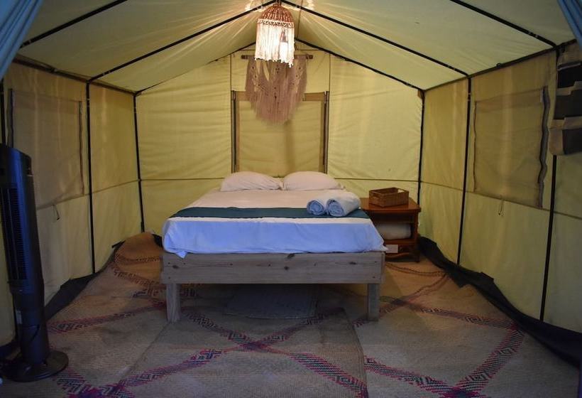 酒店 Uma Tulum Oceanfront