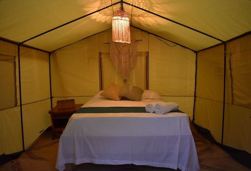 酒店 Uma Tulum Oceanfront