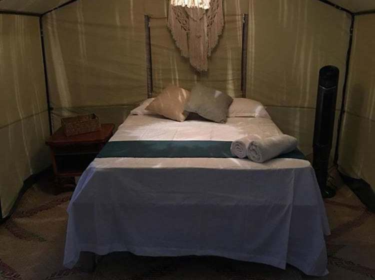 酒店 Uma Tulum Oceanfront