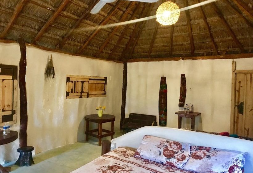 酒店 Uma Tulum Oceanfront