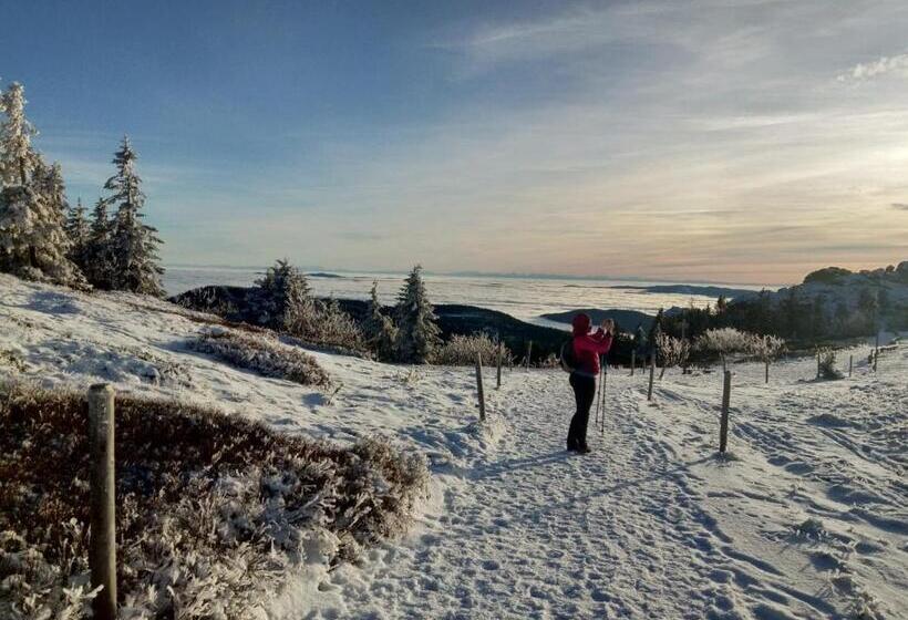 فندق Zur Waldbahn