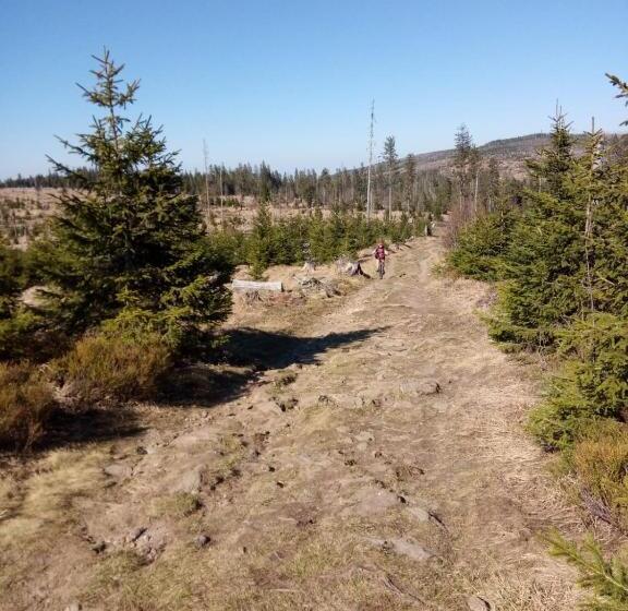 فندق Zur Waldbahn