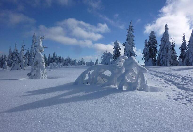 فندق Zur Waldbahn