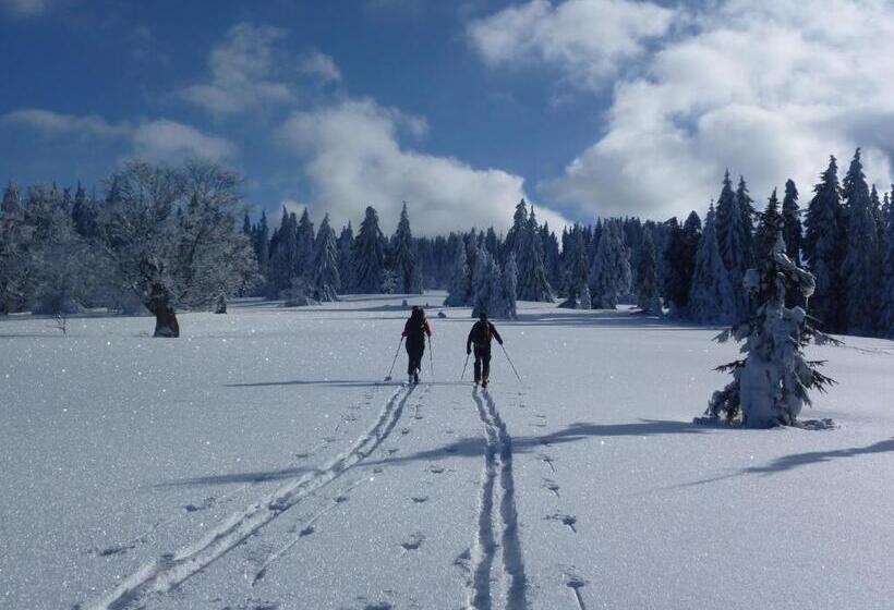فندق Zur Waldbahn