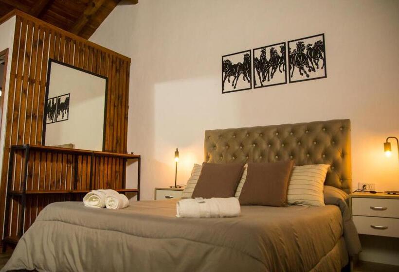 Tacuifi I   Apartamentos