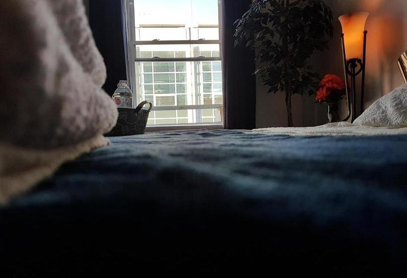 فندق صغير Wander  Downtown London