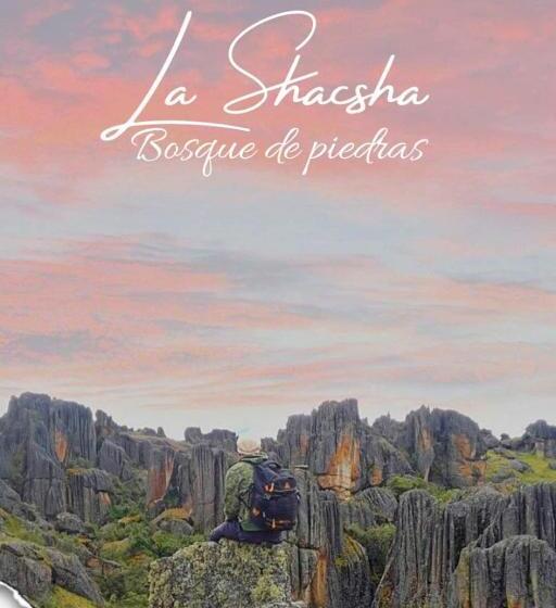 هاستل La Shacsha