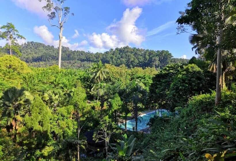 Balung River Eco Resort   Hostel