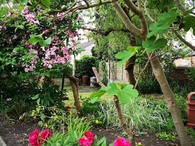 צימר Chimneys Guest House