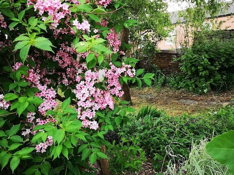 צימר Chimneys Guest House