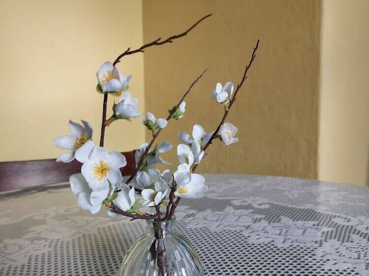 צימר Chimneys Guest House