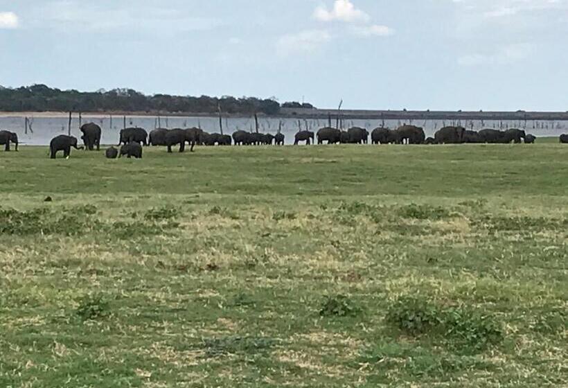 Отель Bangalawa Resort