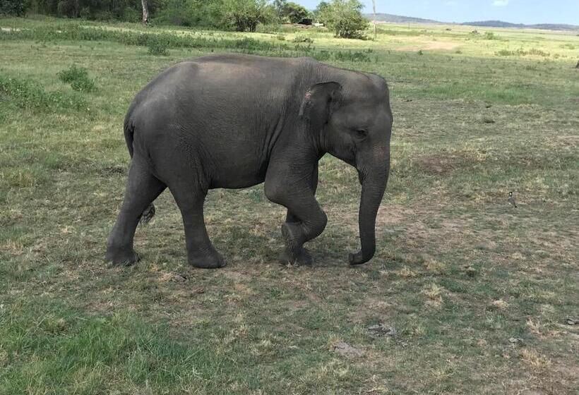 Отель Bangalawa Resort