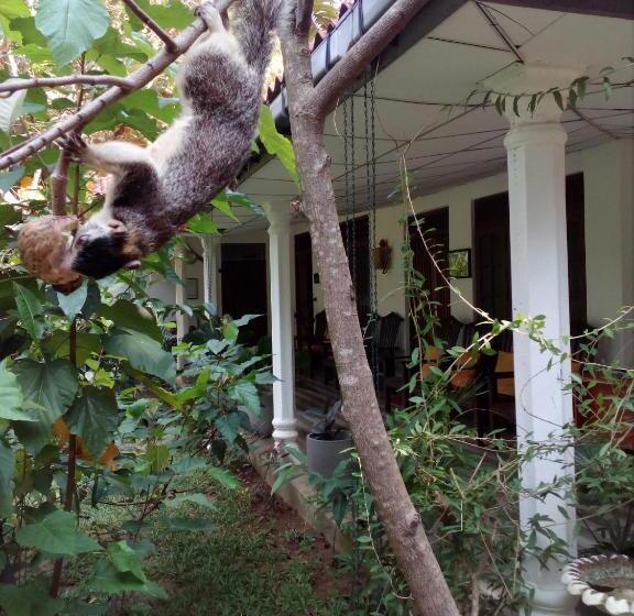 Отель Bangalawa Resort