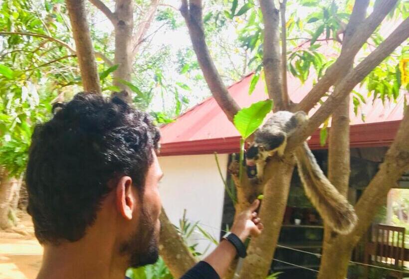 Отель Bangalawa Resort